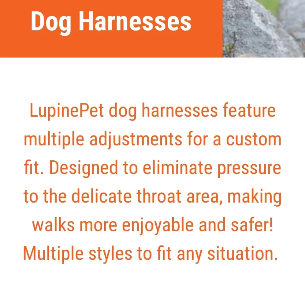LupinePet ½
